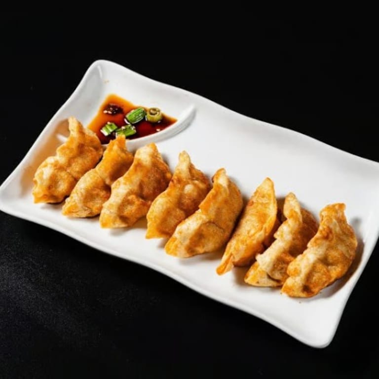 Delicious Dumplings: Chinese and Asian Delights